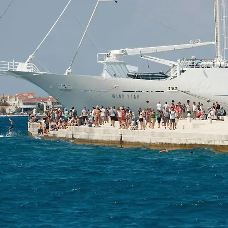 Lovely In Appartement